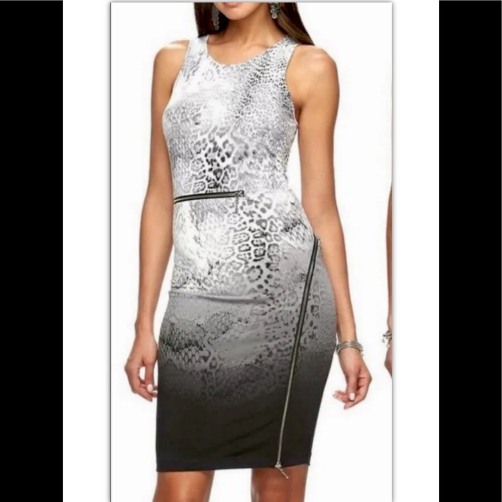 BNWT Jennifer Lopez Ombré Animal Zip Dress 14